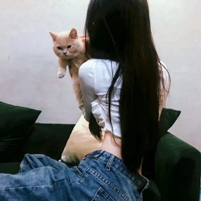 留给吾爱的日记